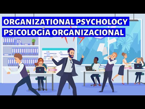 Principal Labor Del Psicólogo Organizacional Y El Perfil Laboral