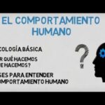 Estudio De La Conducta Humana En Psicología