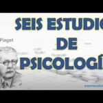 Resumen Del Libro Seis Estudios De Psicología Jean Piaget